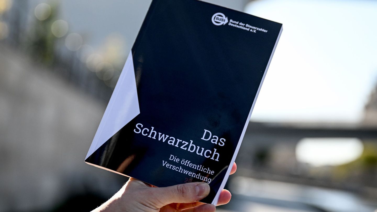 Fünf Fälle aus Rheinland-Pfalz sind im Schwarzbuch aufgeführt. Foto: Britta Pedersen/dpa