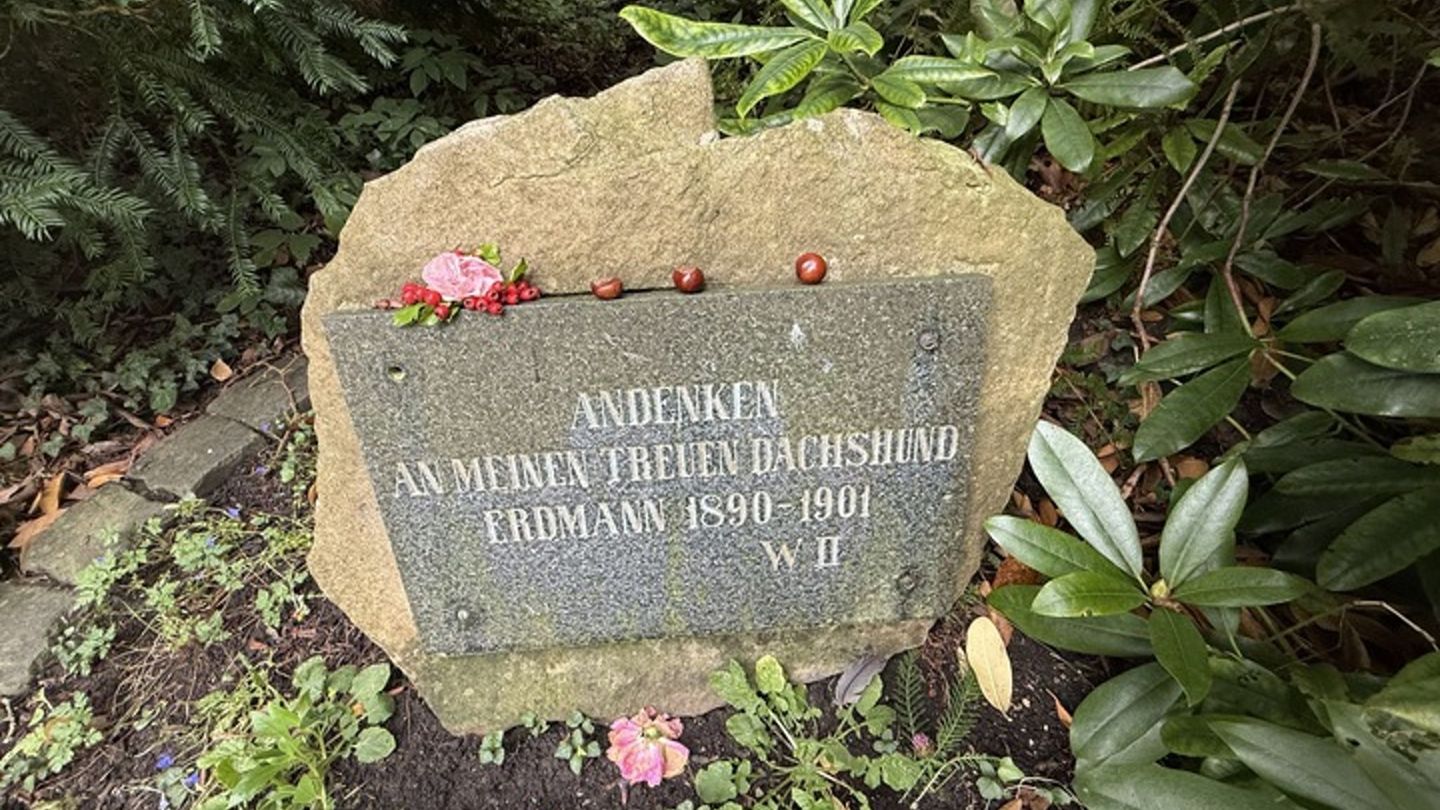 Die Gedenktafel für Erdmann, Dackel von Kaiser Wilhelm II. in Kassel: Der Kauf des angeblichen Dackelmantels für dieses Tier hat