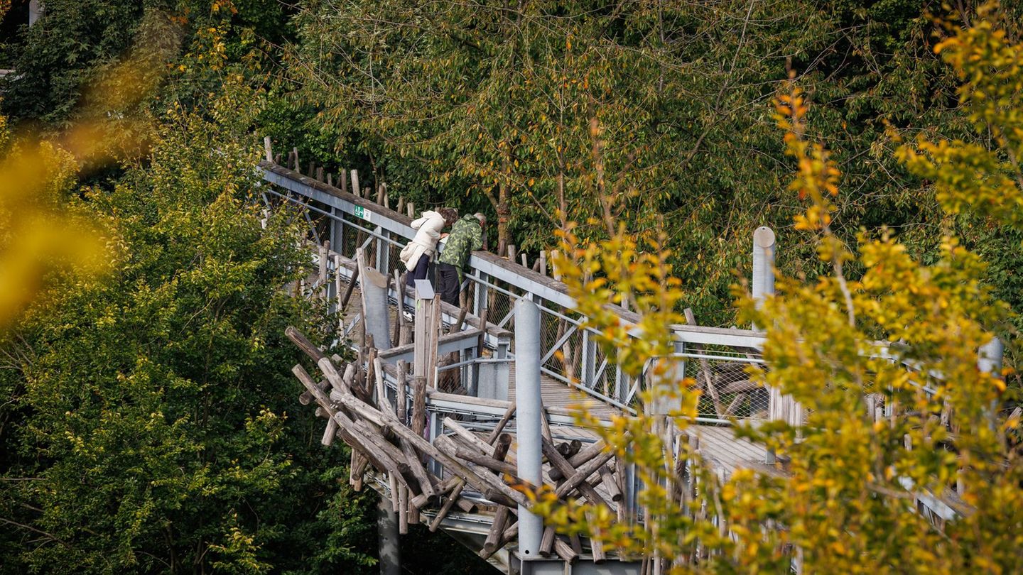 Der Baumwipfelpfad in Bad Iburg hat bisher vor allem Kosten verursacht. Foto: Friso Gentsch/dpa