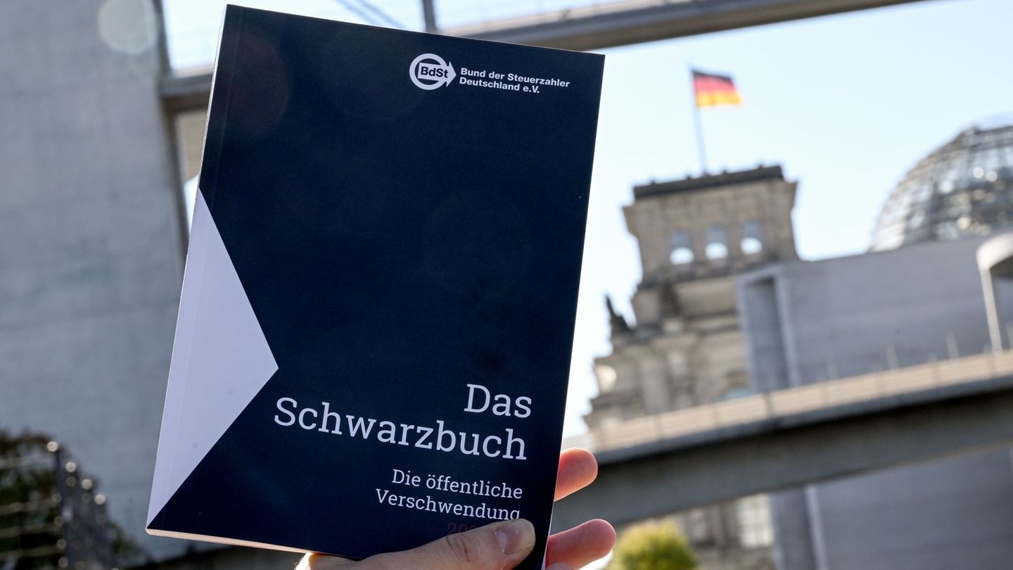Im Schwarzbuch listet der Bund der Steuerzahler jedes Jahr Beispiele auf, wo aus seiner Sicht Steuergelder verschwendet wurden -