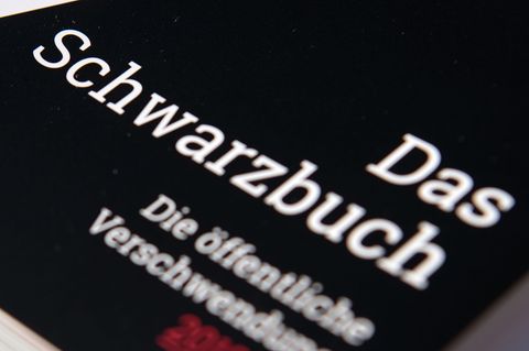 Der Steuerzahlerbund schaut kritisch auf das Finanzgebaren der öffentlichen Hand und führt ein Schwarzbuch der Steuergeld-Versch