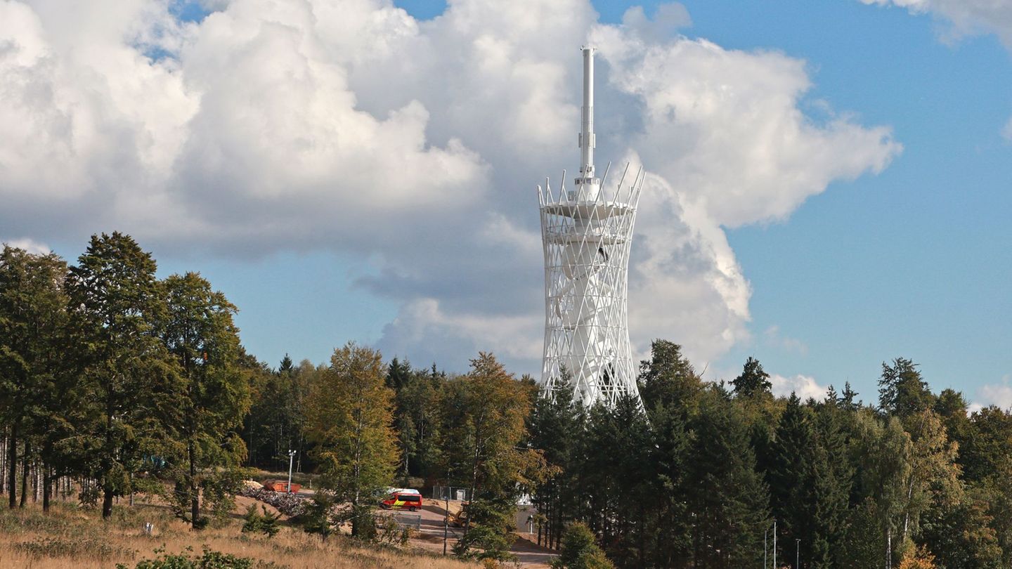 Blick auf den 70 Meter hohen "Hexenbesen" im Harz. Foto: Matthias Bein/dpa