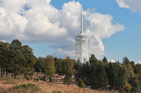 Blick auf den 70 Meter hohen "Hexenbesen" im Harz. Foto: Matthias Bein/dpa