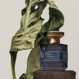 Black Oregano von Atelier Materi