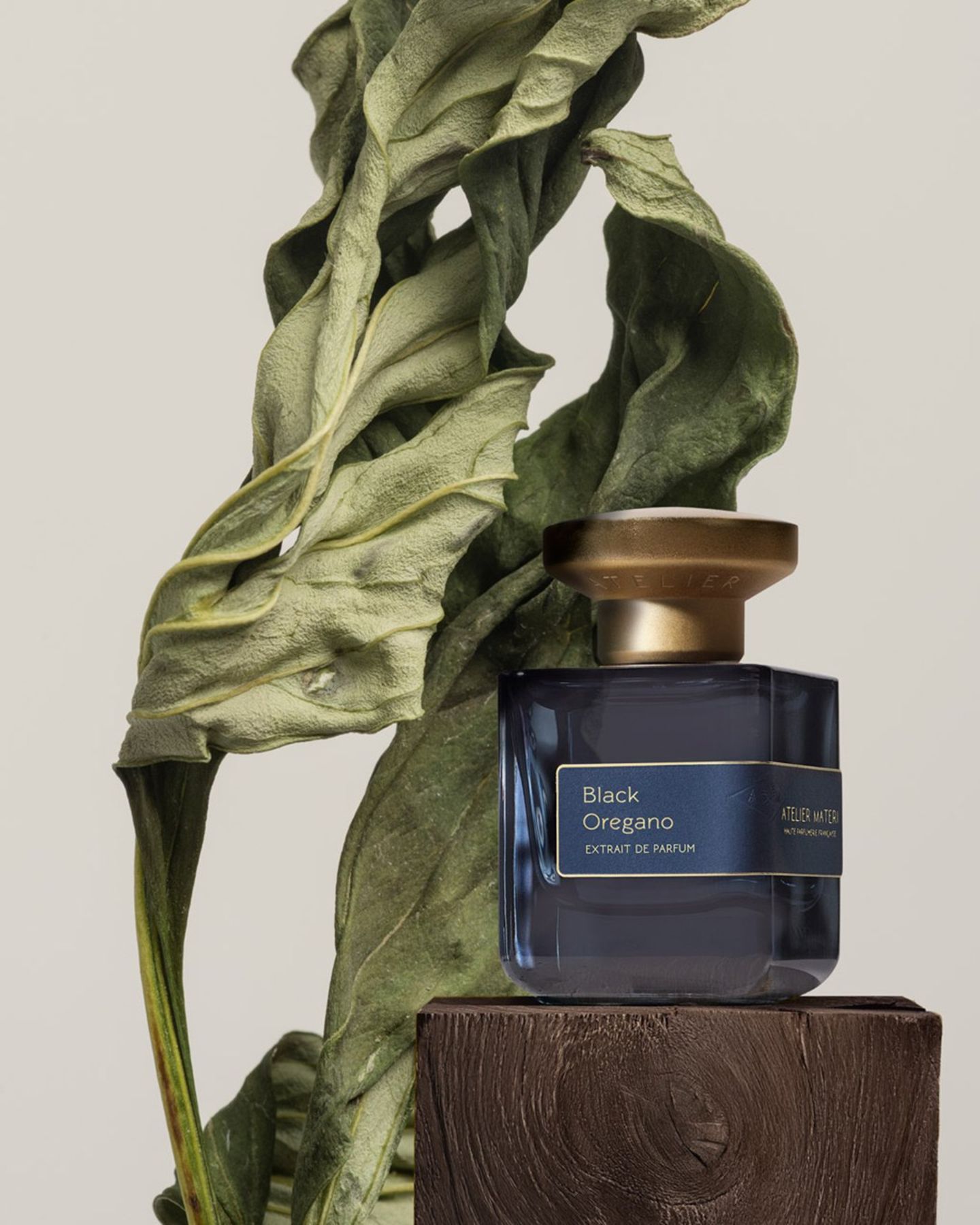 Black Oregano von Atelier Materi