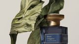 Black Oregano von Atelier Materi