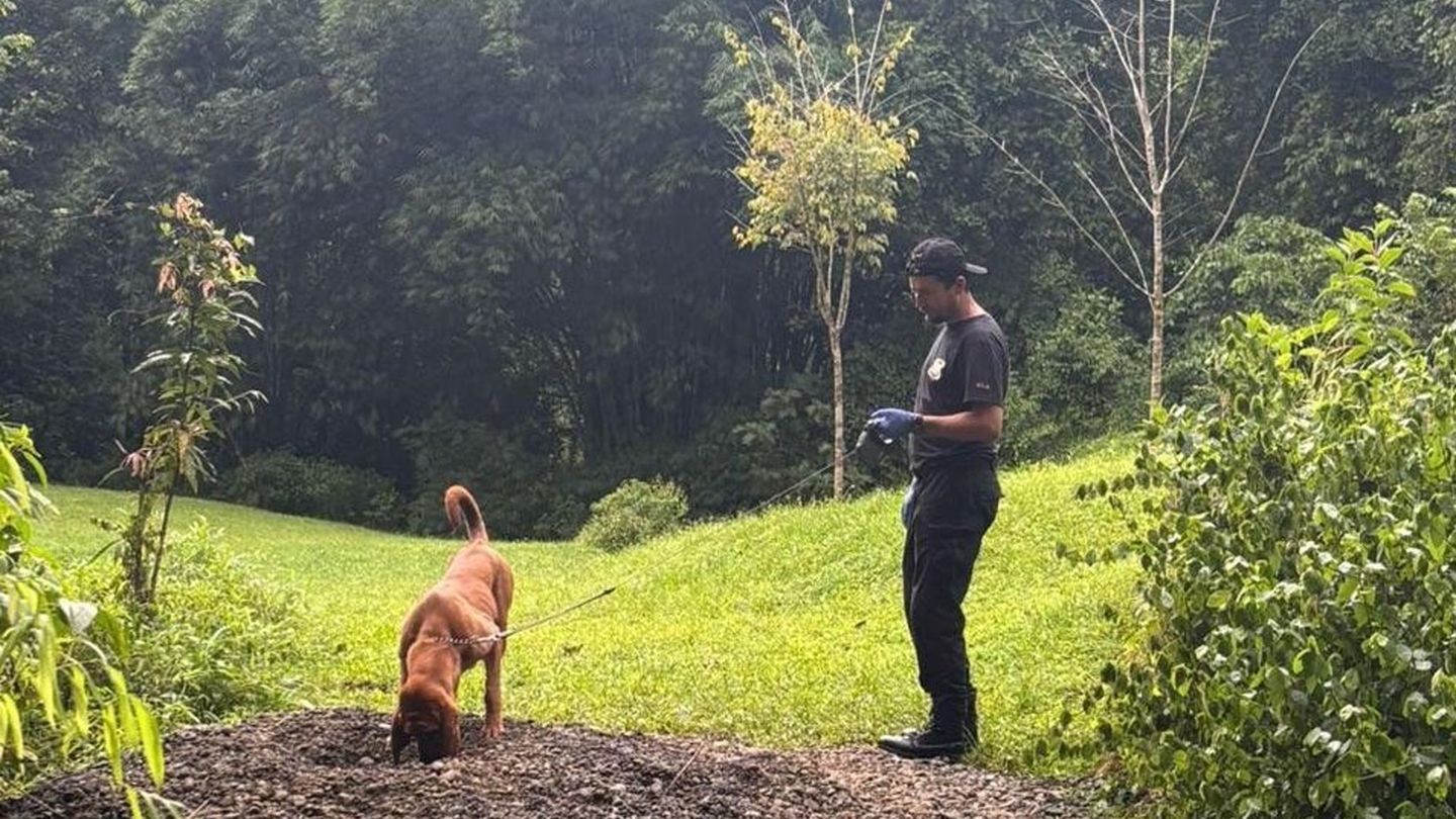 Die Ermittler entdeckten die Leichen mit Hilfe eines Spürhunds. (Archivbild) Foto: ---/OIJ Costa Rica/dpa