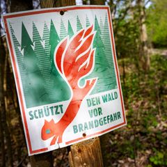 Im langjährigen, statistischen Vergleich ist 2025 ein eher unterdurchschnittliches Waldbrandjahr. (Symbolbild) Foto: Stefan Saue