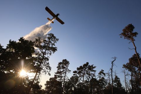 Die "Hexe 1" wurde in diesem Sommer unter anderem bei einem Waldbrand bei Thale eingesetzt. (Archivbild) Foto: Matthias Bein/dpa