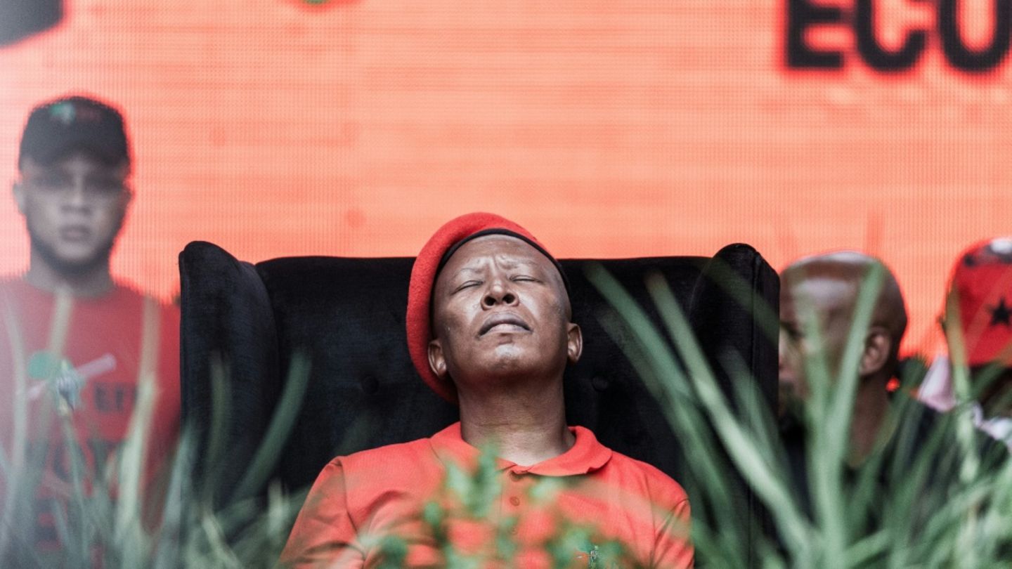 Der südafrikanische Oppositionsführer Julius Malema