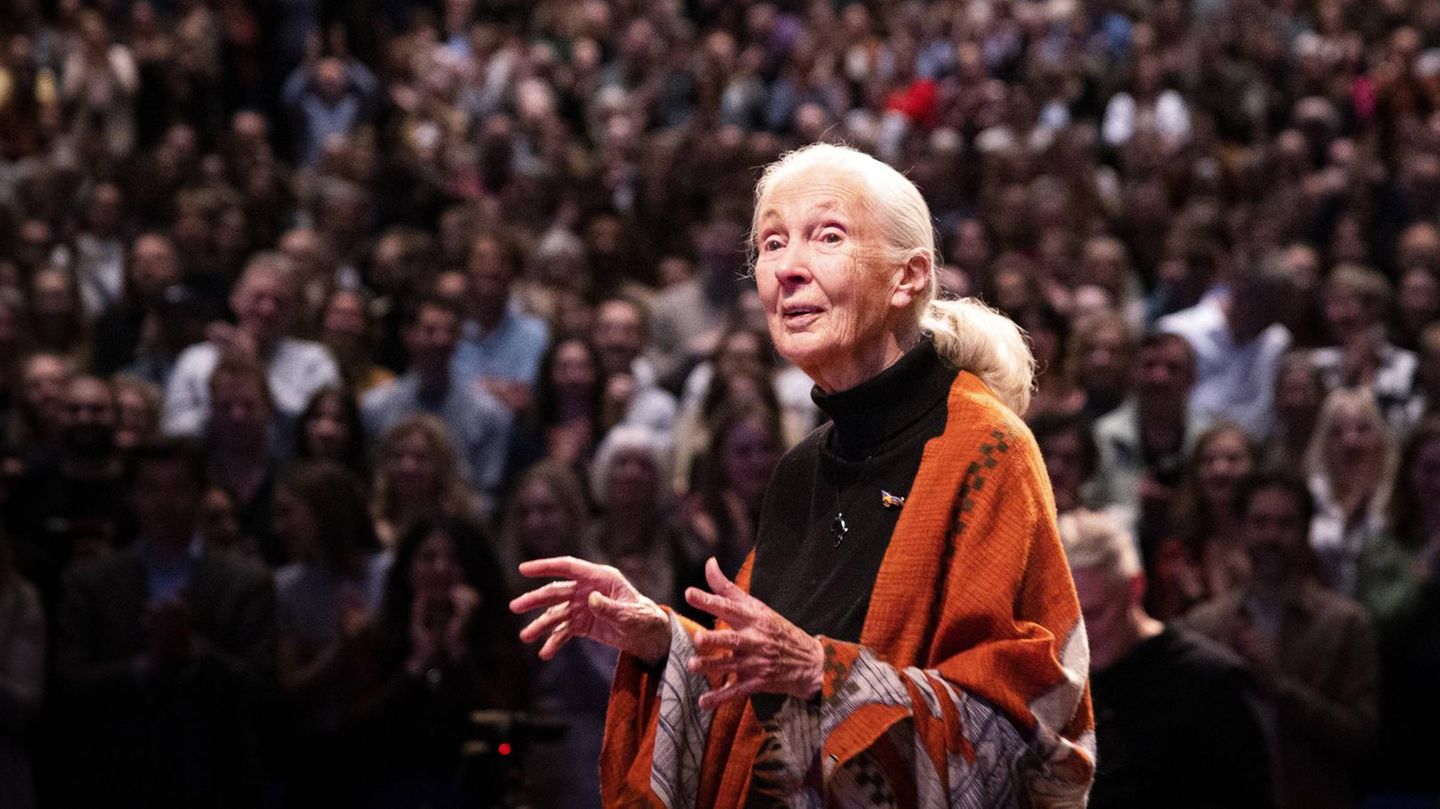 Jane Goodall