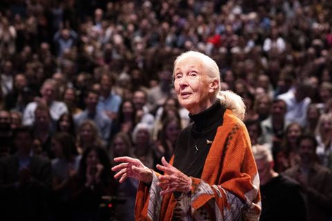 Jane Goodall