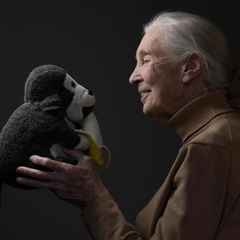 Jane Goodall