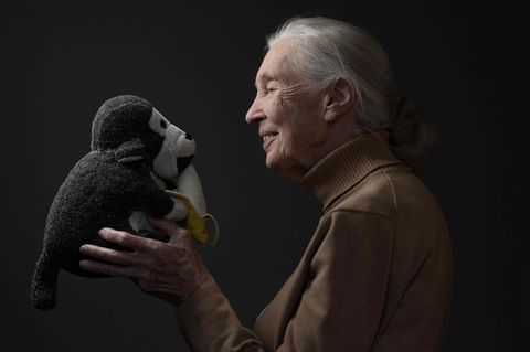 Jane Goodall