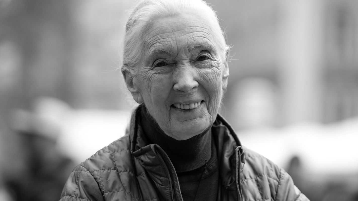 Die britische Schimpansen-Forscherin und Umwelt-Aktivistin Jane Goodall ist tot. Foto: Sven Hoppe/dpa