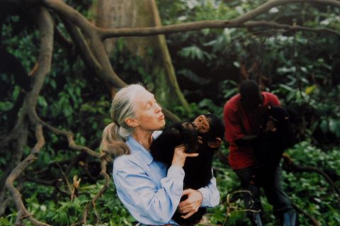 Jane Goodall