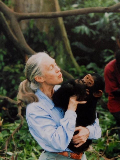 Jane Goodall