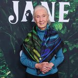 Jane Goodall