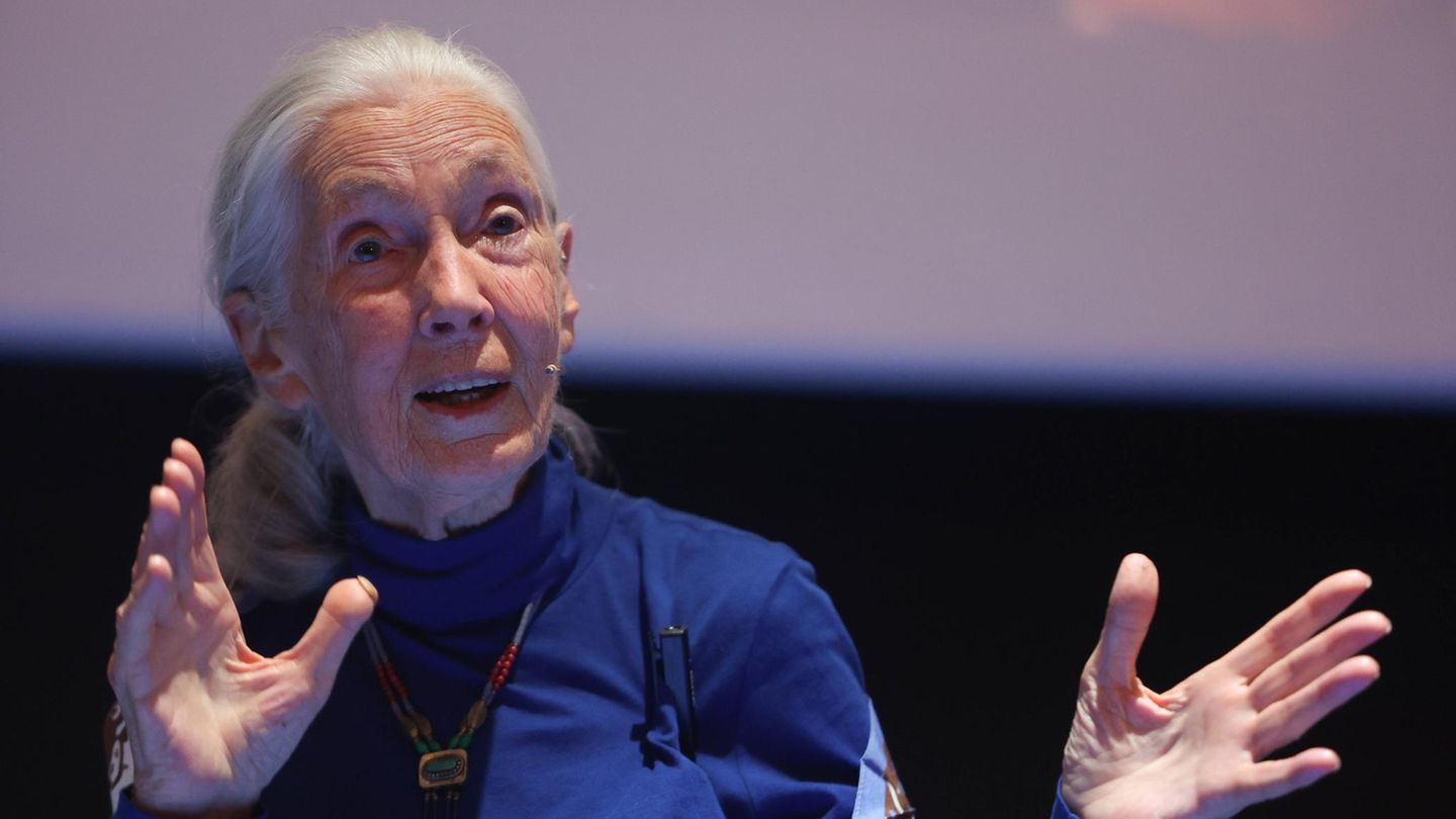 Jane Goodall