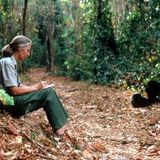 Jane Goodell