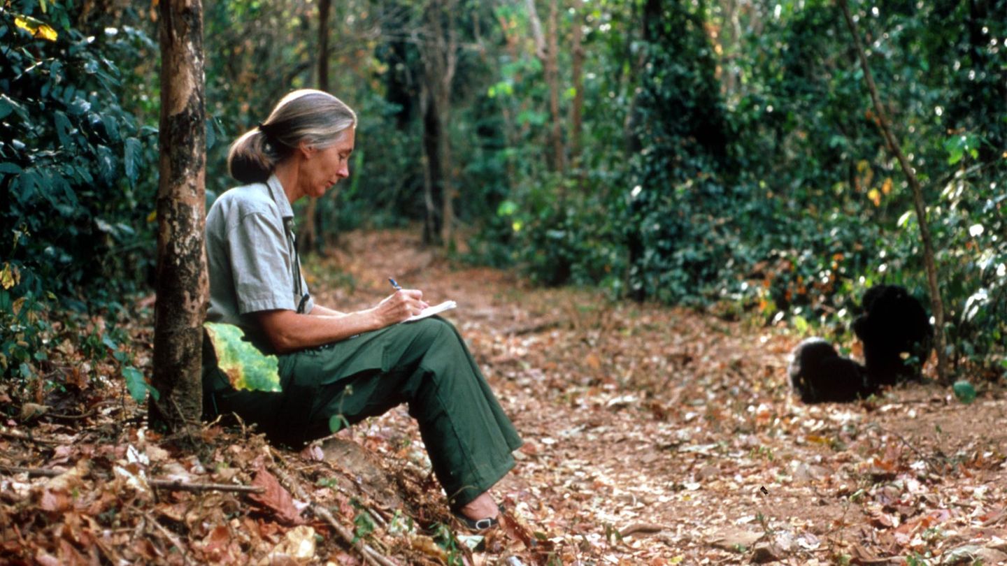 Jane Goodell