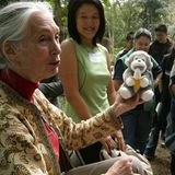 Jane Goodall mit Kindern