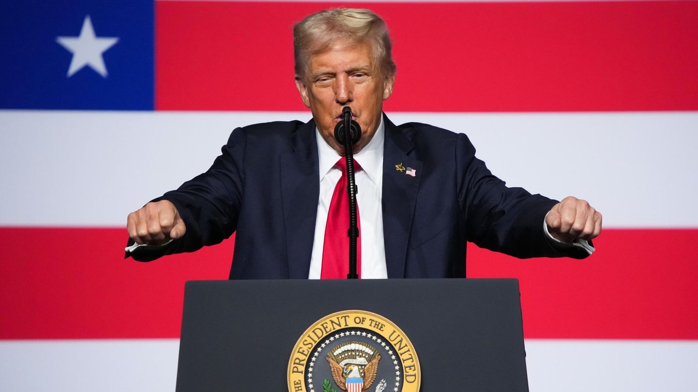 Regierungsstillstand: Im Shutdown sieht Donald Trump seine große Chance