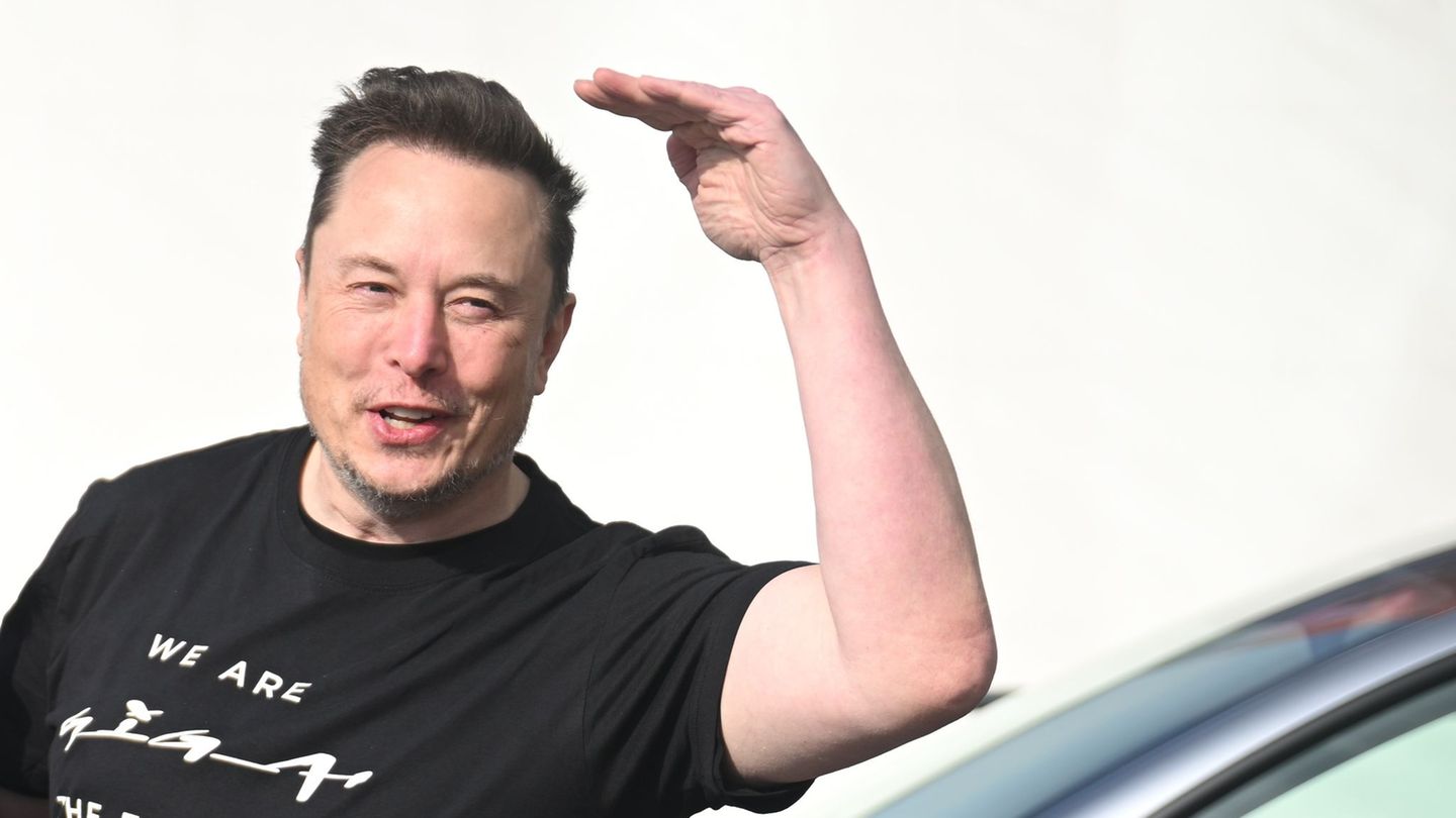 Milliardär Elon Musk