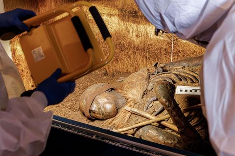 Wegen des Schlossumbaus werden die Schleswiger Moorleichen zum ersten Mal seit vielen Jahren aus ihren Vitrinen geholt. Foto: Ma