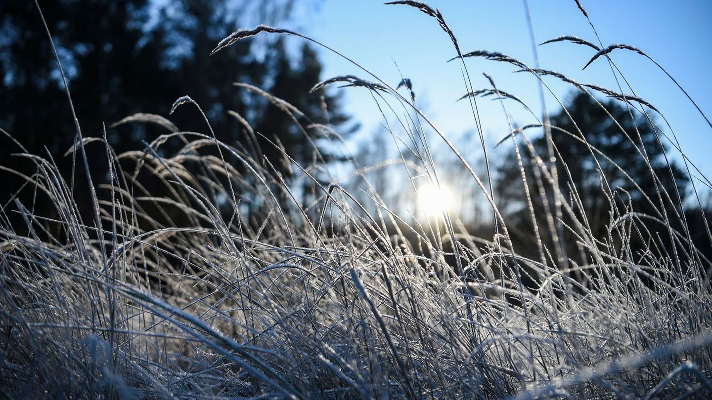 Tagsüber erwartet der DWD milde Temperaturen - in der Nacht Nebel und Frost. (Symbolbild) Foto: Kira Hofmann/dpa