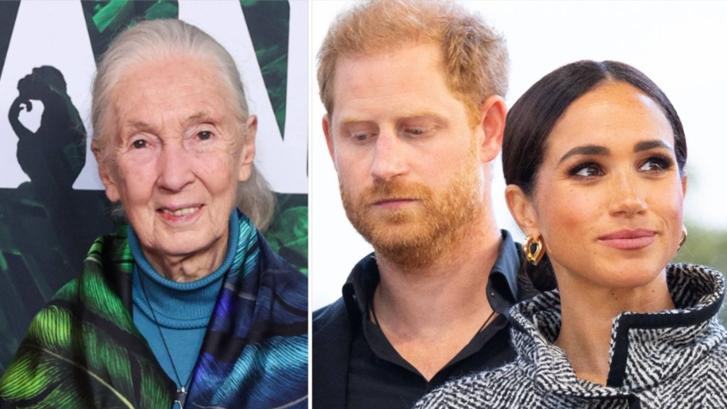 Prinz Harry und seine Frau Meghan (r.) trauern um Naturschützerin Jane Goodall.