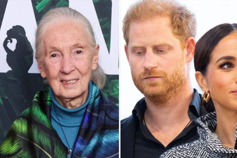 Prinz Harry und seine Frau Meghan (r.) trauern um Naturschützerin Jane Goodall.