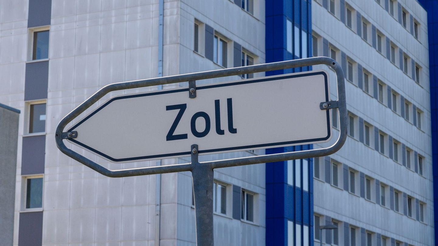 Im Rahmen europaweiter Kontrolltage rückte der Zoll auch in Sachsen-Anhalt aus. (Symbolbild) Foto: Klaus-Dietmar Gabbert/dpa