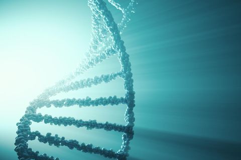 DNA Strang