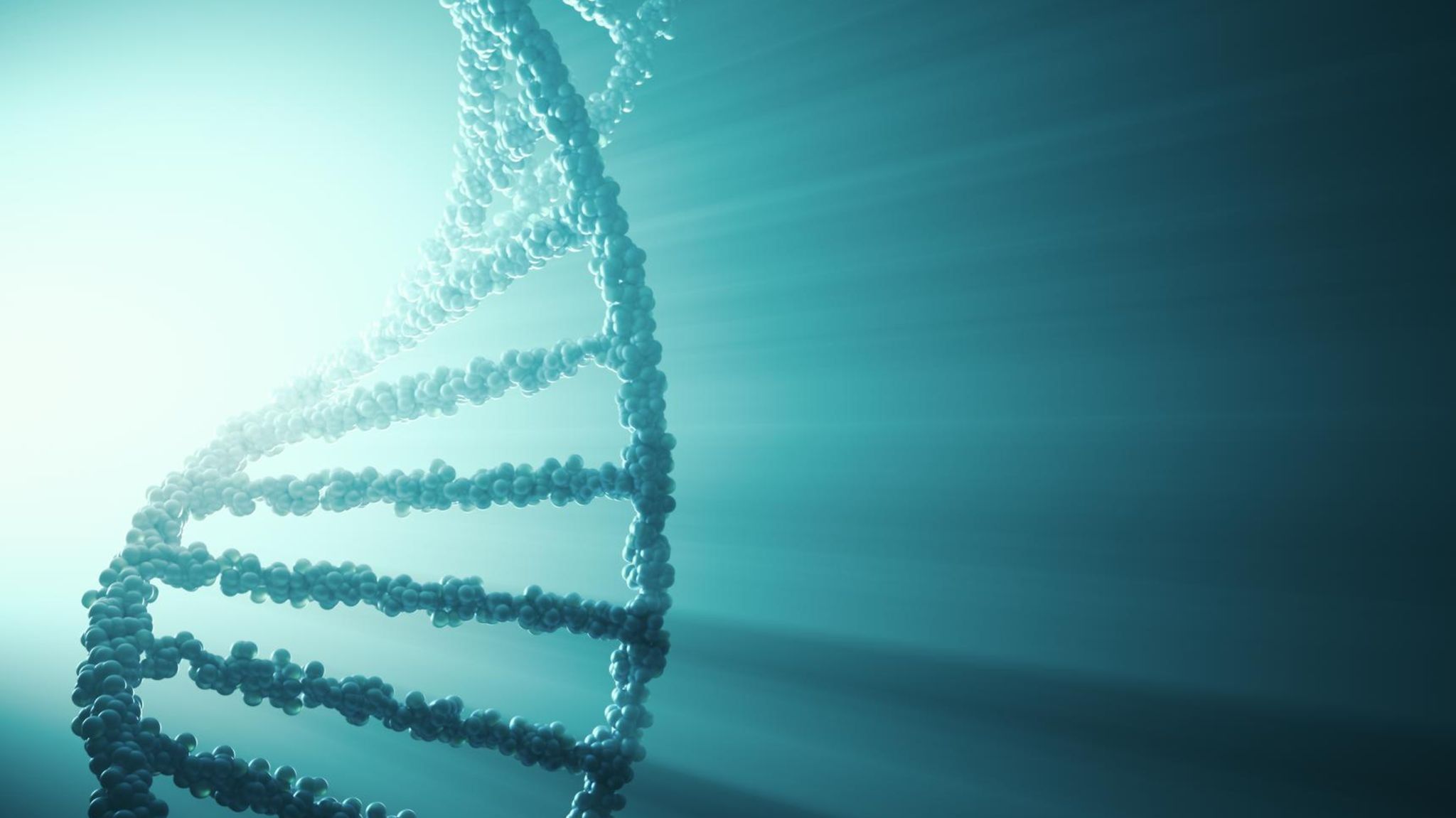 DNA Strang DNA Strang