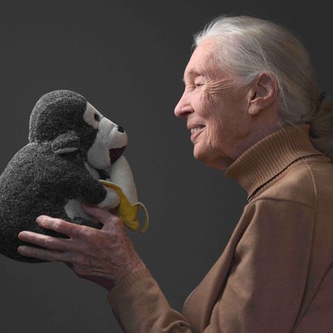 Jane Goodall