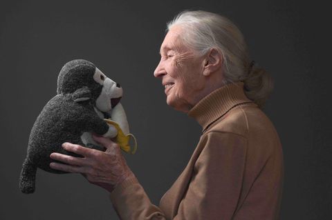 Jane Goodall