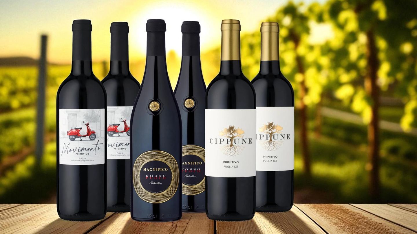 Probierpaket “Primitivo Lover”