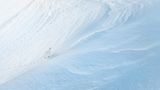 Alpenschneehuhn: Spuren im Schnee