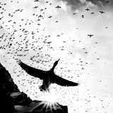 Viele Krähenscharben fliegen in der Luft