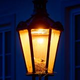 Ein Eichelhäher nistet in einer Straßenlaterne