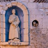 Schleiereulen schauen aus kleinen Vorsprüngen einer Kapelle heraus