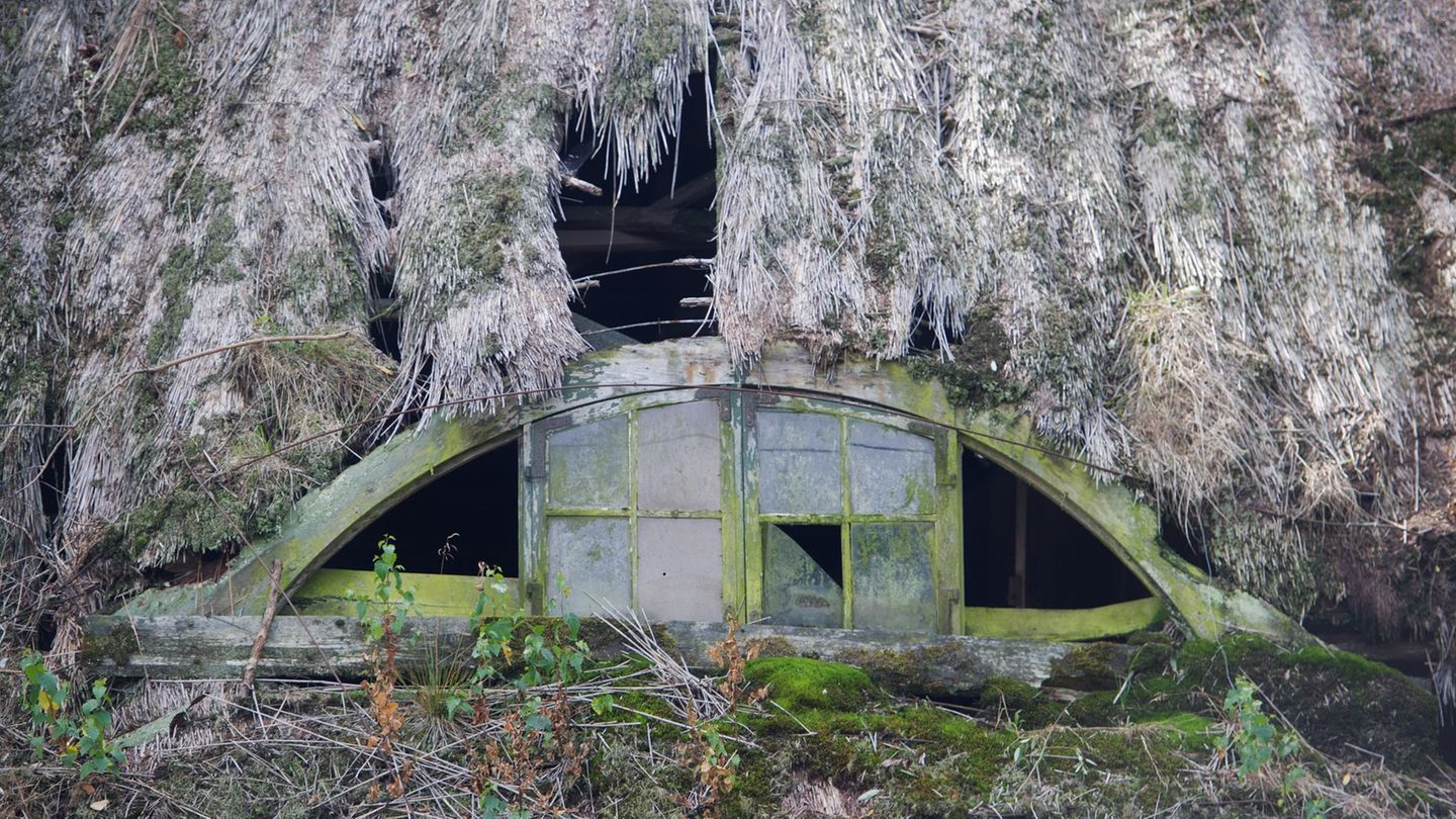 Seit 2020 sind in Mecklenburg-Vorpommern 272 Denkmale aus den Denkmallisten gestrichen worden. (Symbolbild) Foto: picture allian