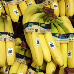 Bei Bananen ist die Nachfrage zuletzt besonders rasant gestiegen. Foto: Wolfgang Kumm/dpa