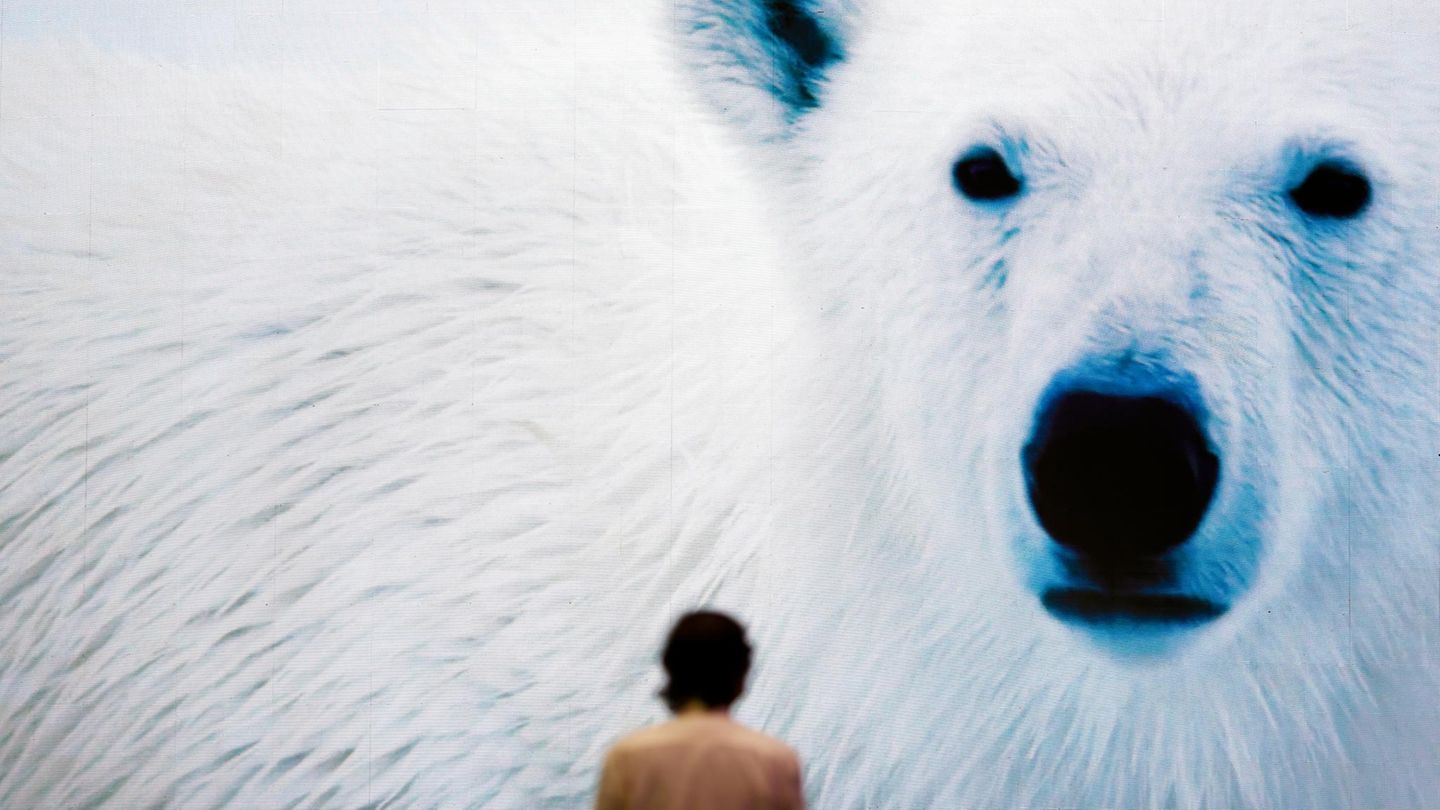 Bangkok, Thailand. Ein Besucher der Sustainability Expo steht vor dem Bild eines Eisbärs. Die Ausstellung dreht sich um Nachhaltigkeit in Technik, Ernährung und Landwirtschaft und macht die Folgen des Klimawandels deutlich