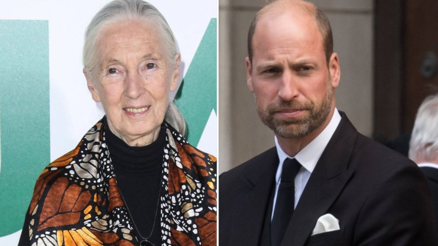 Prinz William würdigte Jane Goodall als Quelle der Inspiration.