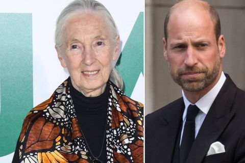 Prinz William würdigte Jane Goodall als Quelle der Inspiration.
