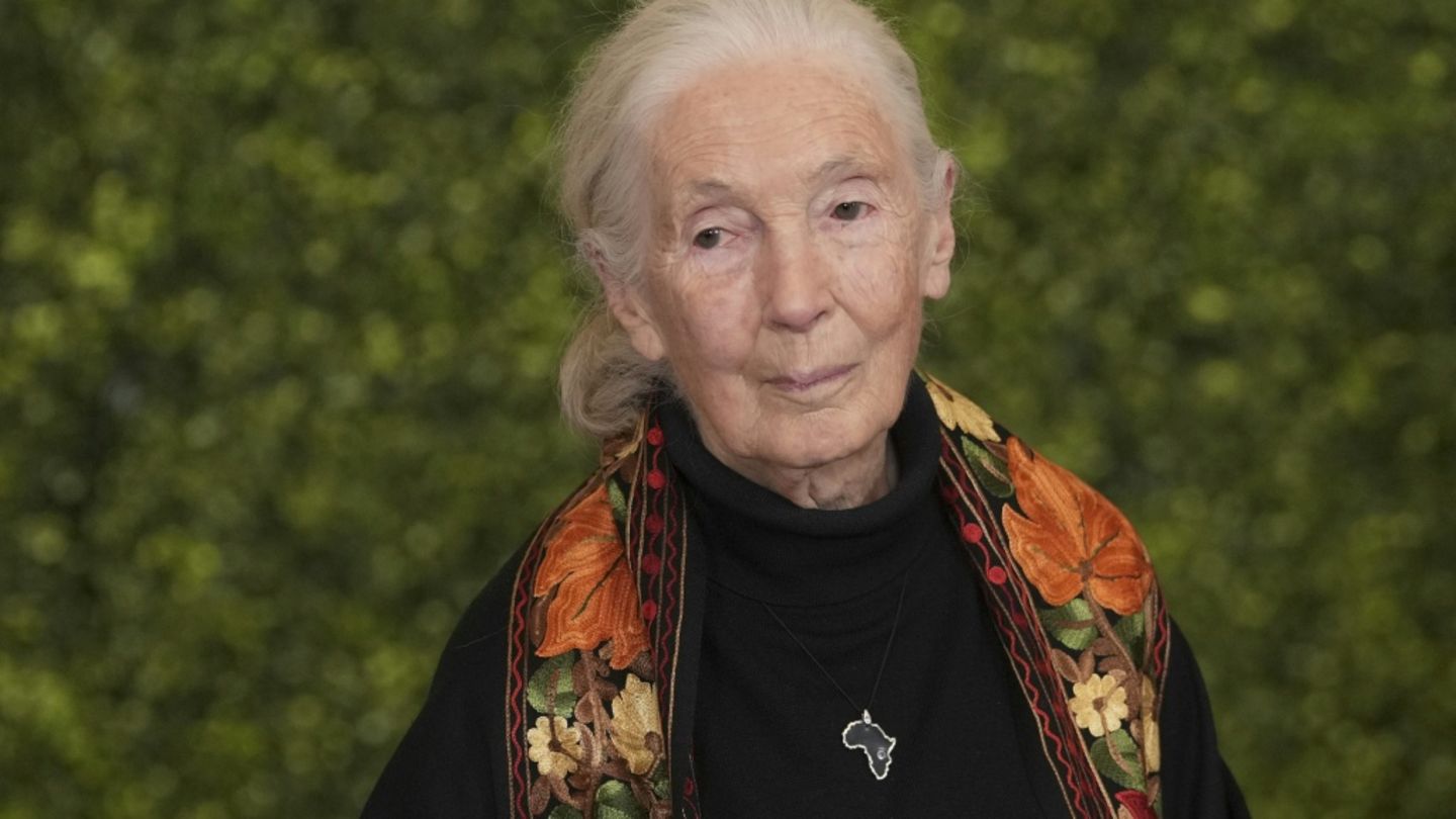 Jane Goodall