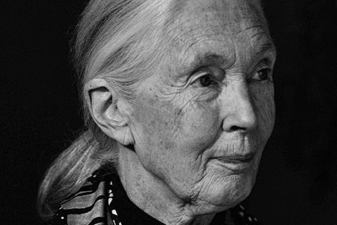 Jane Goodall, 2017