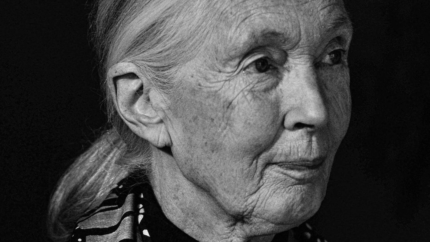 Jane Goodall, 2017